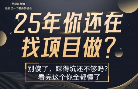 25年,你还在疯狂的找项目吗?别傻了,看完这个你都懂了【揭秘】