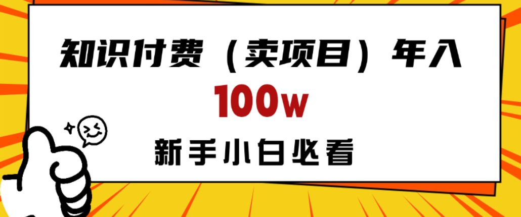 做项目真的不如“卖项目”来的更快更直接年入100w，想想你真正需要的是什么？不是为了做项目，而是为了赚钱！