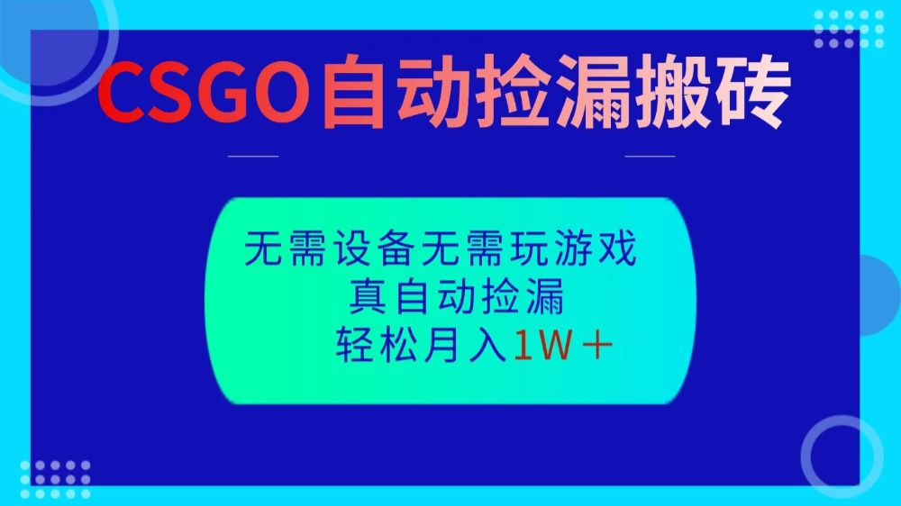 CSGO自动捡漏搬砖，当天操作当天见结果，无需了解游戏，包教包会包落地