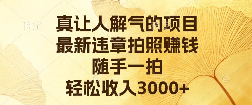 真让人解气的项目，最新违章拍照赚钱，随手一拍，轻松收入3000+