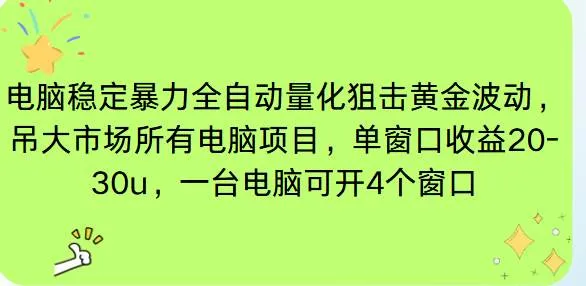 电脑EA策略挂机项目单窗口收益20-30u，单电脑可挂5-10个窗口收益稳健4位数
