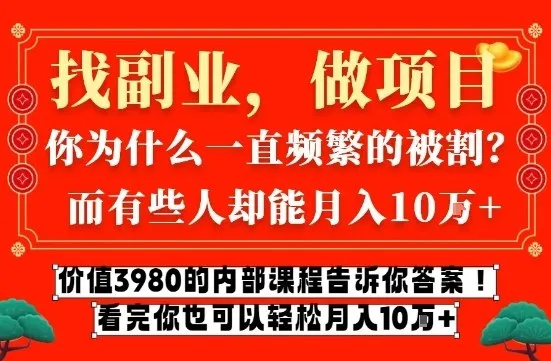 价值3980的网创内部课程，告诉你互联网创业月入10个W的秘密