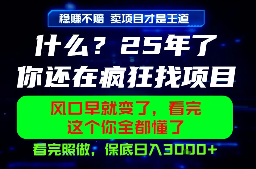 26年,请不要疯狂的找项目做了!卖项目才是真的稳賺不赔,看完照做,保底日入1k+
