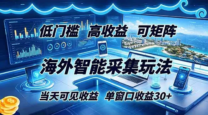 海外智能采集玩法，低门槛高单价可矩阵，当天可见收益，单窗口30+