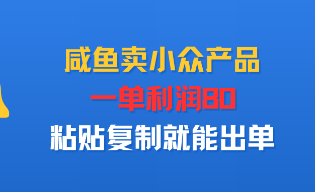 咸鱼卖小众产品，一单利润80，粘贴复制就能出单