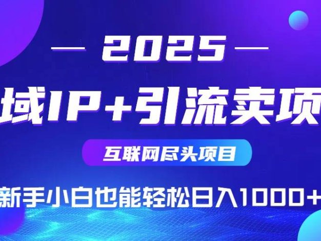 2025网创尽头项目，私域IP+引流，新手小白也能在家日入1000+