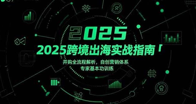 2025跨境出海实战指南,并购全流程解析,自创营销体系,专家基本功训练