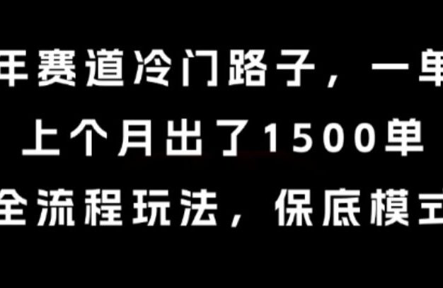 中老年赛道冷门路子,一单788,上个月出了1500单,全流程玩法,保底模式【揭秘】