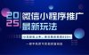 25年下半年微信小程序推广最新玩法，轻松日入800+