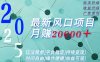 2025广告赛道新风口-月赚2W＋玩法简单，时间自由