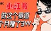 【惊叹！】在小红书做这个赛道，2个月收益3W+