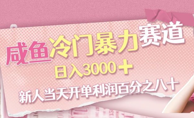 咸鱼冷门暴力赛道,新人当天开单,利润百分之八十,日入3000➕