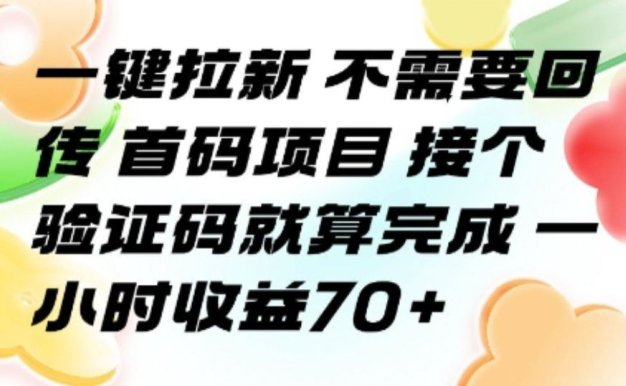 一键拉新 不需要回传 首码项目 接个验证码就算完成 一小时收益70+【揭秘】