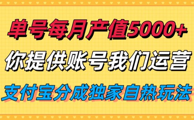 单月产值5000+，支付宝分成代运营，你提供账号坐等分钱，我们帮你运营