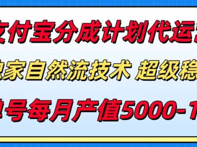 支付宝分成计划代运营，最新自然流技术，收益稳定，单号月产5000＋！