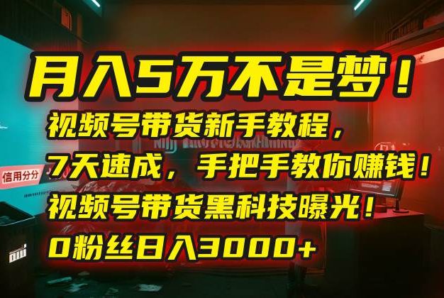 月入5万不是梦!视频号带货新手教程,7天速成,手把手教你赚钱!视频号…