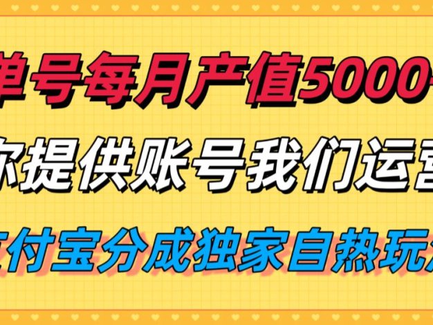 单月产值5000+，支付宝分成代运营，你提供账号坐等分钱，我们帮你运营