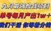 九月最强捡钱项目！ 支付宝分成代运营，我们干活，你分钱！单号月产1w+