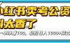价值 3980 的小红书混剪，全网项目库虚拟变现 ， 日引 200+宝妈创业粉，每天稳定四位数变现