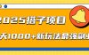 2025搭子项目每天1000+新玩法最强副业