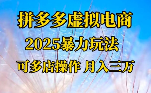 拼多多虚拟电商,不囤货不垫资的虚拟电商