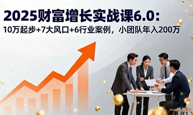 2025财富增长实战课6.0:10万起步+7大风口+6行业案例,小团队年入200万