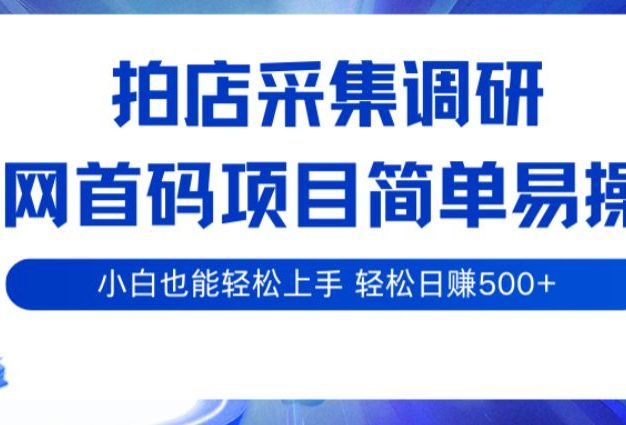 拍店采集调研,全网首码项目,简单易操作, 小白也能轻松上手,轻松日赚500+