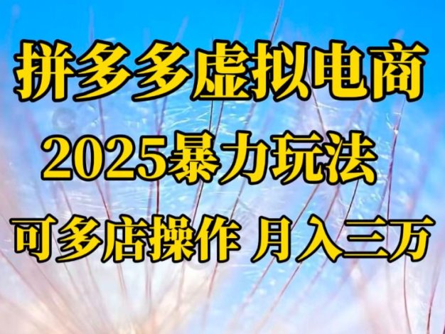 拼多多虚拟电商，不囤货不垫资的虚拟电商