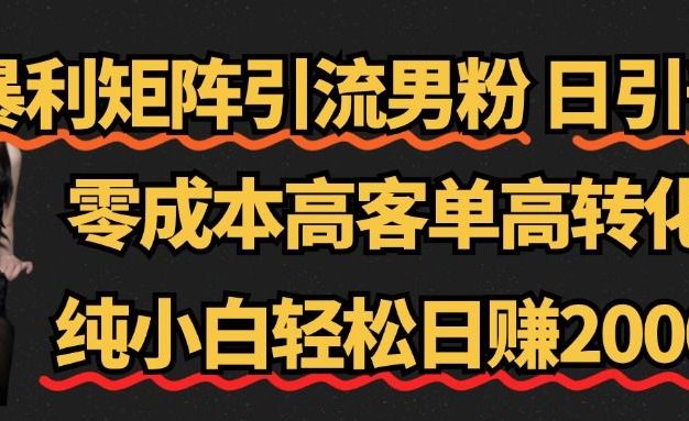 暴利矩阵引流男粉(日引千粉),零成本高客单高转化,纯小白轻松日赚2000+