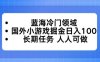蓝海冷门领域，国外小游戏掘金日入100，长期任务人人可做