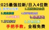 全程免费，手把手教，日入4位数的拉新项目，教会你免费使用各种AI软件，并且持续更新市面上最新的项目哦！