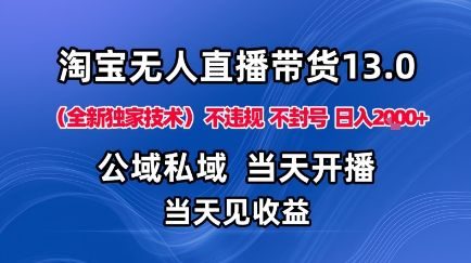 淘宝无人直播13.0，公域私域技术，不封号，不违规布局下半年旺季赛道，日入1K+（独家技术）