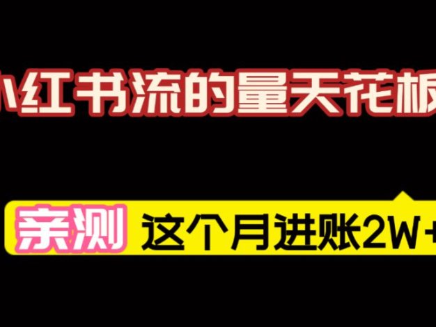 小红书的这个赛道，简直就是流量天花板，我这个月已经赚2W+（附带教程）