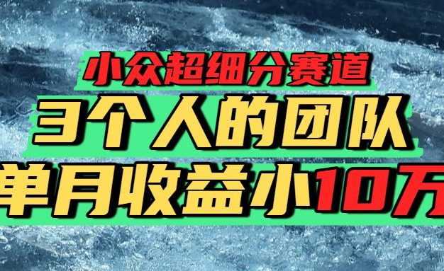 小众超细分赛道,一年百万利润的盘子!
