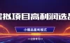 淘宝虚拟店铺高利润玩法，高客单选品技巧，单店月入1W+