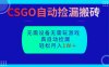 CSGO自动捡漏搬砖，当天操作当天见结果，无需了解游戏，包教包会包落地