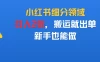 小红书细分领域，日入2张，搬运就出单，新手也能做