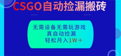 CSGO自动捡漏搬砖,当天操作当天见结果,无需了解游戏,包教包会包落地