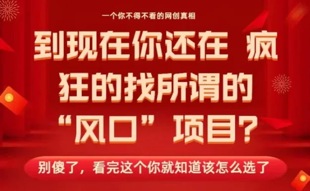 马上26年了,你还在找所谓的风口项目?别傻了,看完这个你全都懂了!