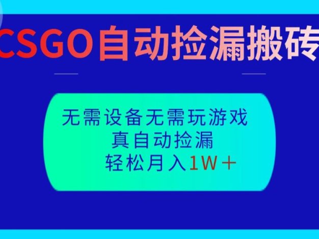 CSGO自动捡漏搬砖，当天操作当天见结果，无需了解游戏，包教包会包落地
