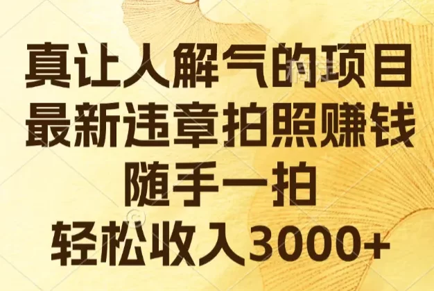 真让人解气的项目,最新违章拍照赚钱,随手一拍,轻松收入3000+