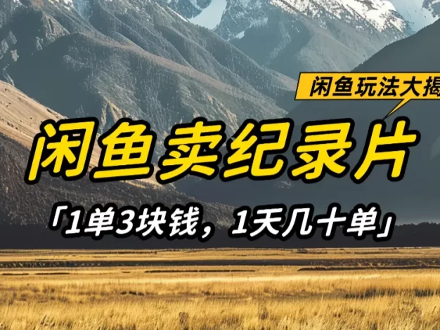 闲鱼卖纪录片1单3块钱,1天几十单,项目稳定有潜力