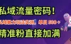 私域流量密码！私域暴力玩法实测，单日 500 + 精准粉直接加满