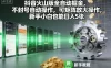 抖音火山版全自动掘金，不封号自动操作，可矩阵放大操作，新手小白也能日入5张