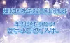 爆款国外游戏高利润搬砖项目，单机轻松1k+，新手小白也可入手