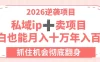 2026逆袭项目-卖项目+私域ip，小白也能月入十万年入百万，抓住机会彻底翻身！