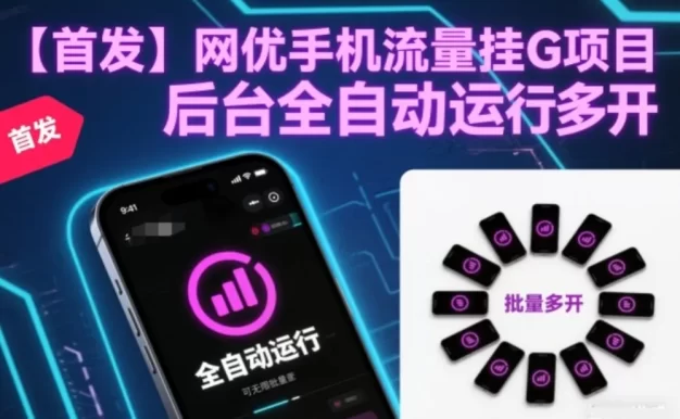 网优手机流量挂G项目,后台全自动运行,可无限批量多开