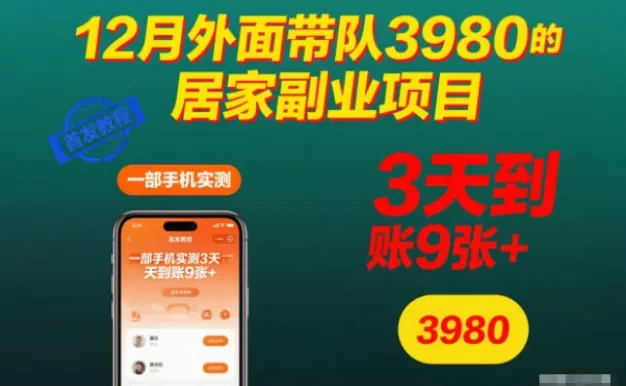 12月外面带队3980的居家副业项目,一部手机实测3天到账9张+,首发教程