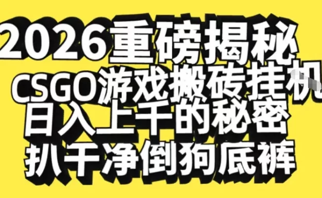 2026开年重磅解密,CSGO游戏搬砖挂G日入1k+的秘密,把倒狗的底裤扒干