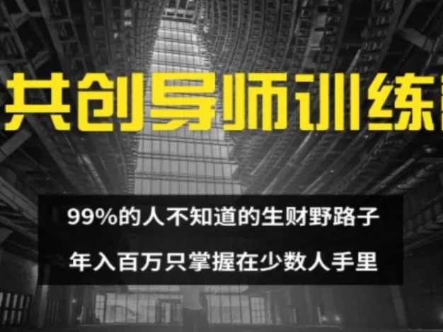 IP共创导师训练营 99%的人不知道的生财野路子 只掌握在少数人手里